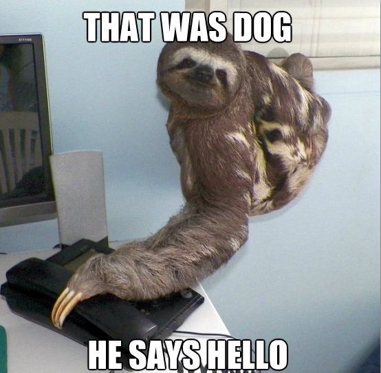 that-was-dog-he-says-hello.jpg