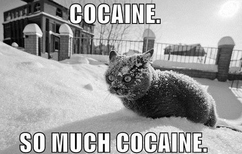 so-much-cocaine.jpg
