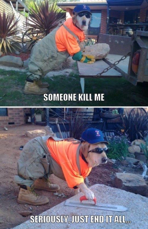 Kill Me Kill Me