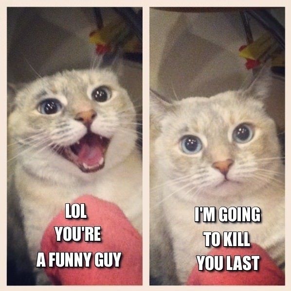 youre-funny-guy-gonna-kill-you-last.jpg
