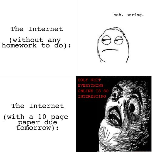 The Internet (without any homework to do): Meh. Boring The Internet (with a 10 page paper due tomorrow): HOLY SHIT EVERYTHING ONLINE IS SO INTERESTING