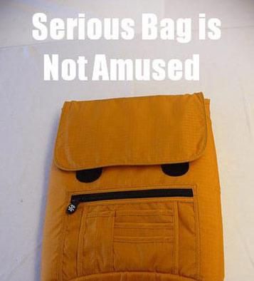 Serious Bag is Not Amused
