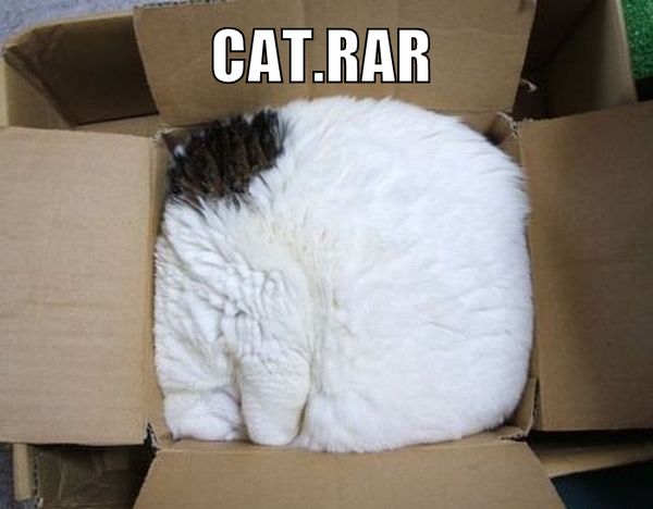 CAT.RAR