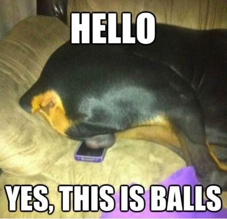 HELLO YES, THIS IS BALLS