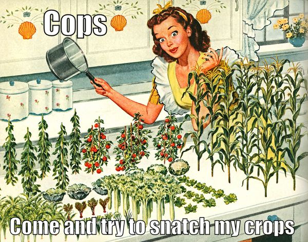 Cops Come and try to snatch my crops