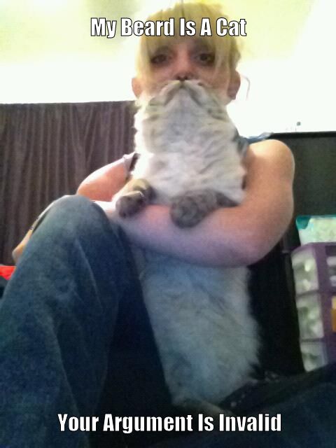 My Beard Is A Cat Your Argument Is Invalid