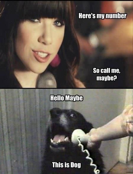 Here's my number So call me, maybe? Hello Maybe This is Dog