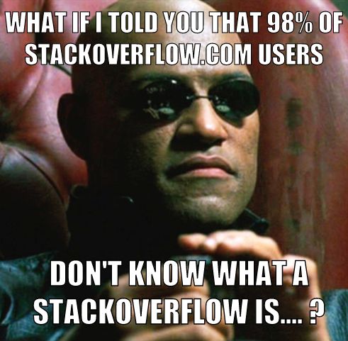 WHAT IF I TOLD YOU THAT 98% OF STACKOVERFLOW.COM USERS DON'T KNOW WHAT A STACKOVERFLOW IS... ?