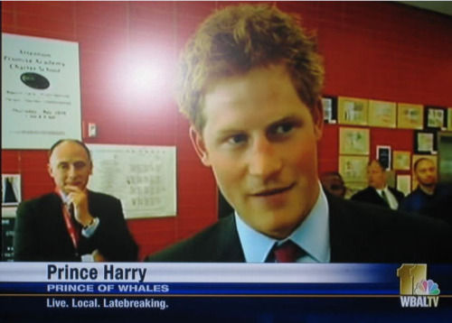 Prince Harry PRINCE OF WHALES