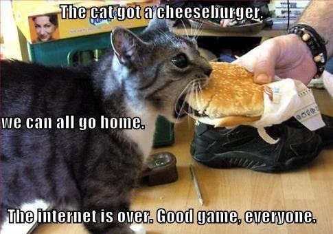 The cat got a cheeseburger. we can all go home. The internet is over. Good game, everyone.
