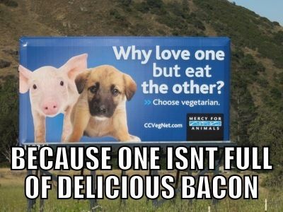 Why love one but eat the other? BECAUSE ONE ISNT FULL OF DELICIOUS BACON
