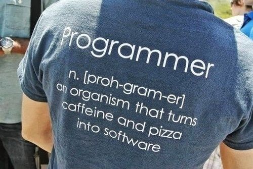 Programmer n. [proh-gram-er] an organism that turns caffeine and pizza into software