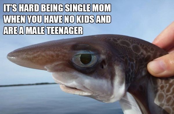 it-s-hard-being-single-mom-when-you-have-memerial