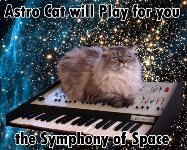 Astro Cat will Play for you the Symphony of Space
