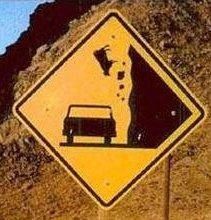 _falling_cows