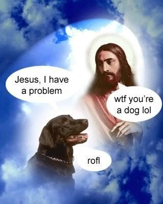 Jesus, I have a problem wtf you're a dog lol rofl