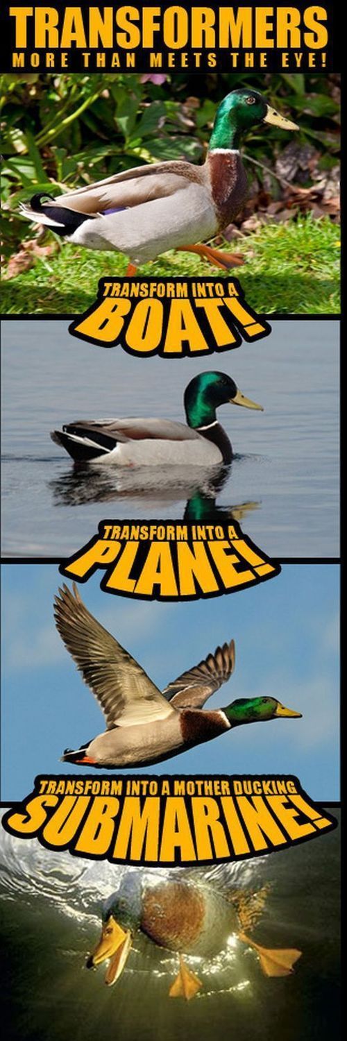 TRANSFORMERS
 MORE THAN MEETS THE EYE!
 TRANSFORM INTO A
 BOAT!
 TRANSFORM INTO A
 PLANE!
 TRANSFORM INTO A MOTHER DUCKING
 SUBMARINE!