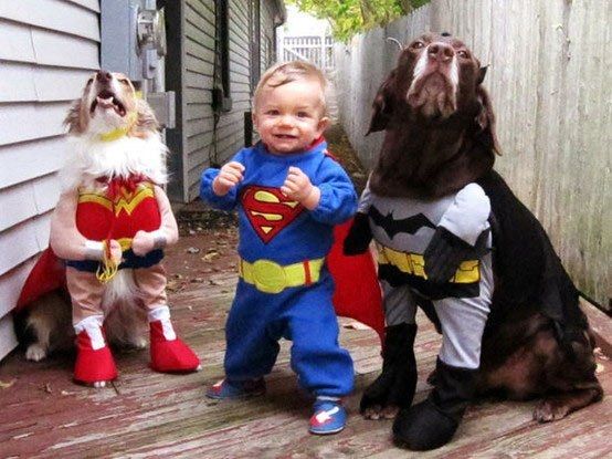 superman kid batman dog