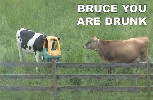 BRUCE YOU ARE DRUNK