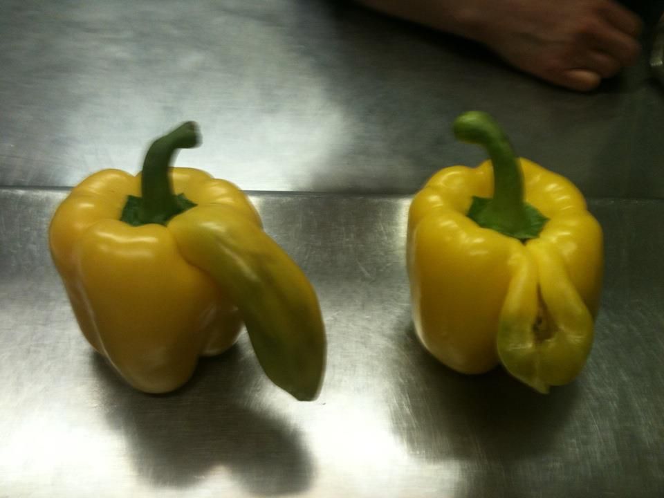penis vagina paprika