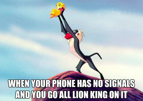 WHEN YOUR PHONE HAS NO SIGNALS AND YOU GO ALL LION KING ON IT