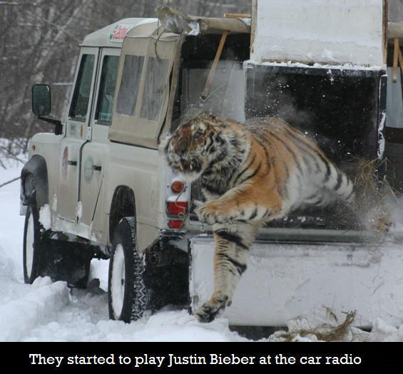 They started to play Justin Bieber at the car radio