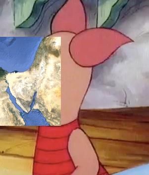 piglet sinai face