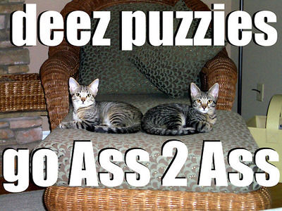 deez puzzies go Ass 2 Ass