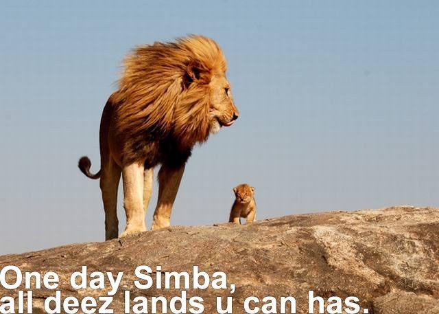 One day Simba, all deez lands u can has.