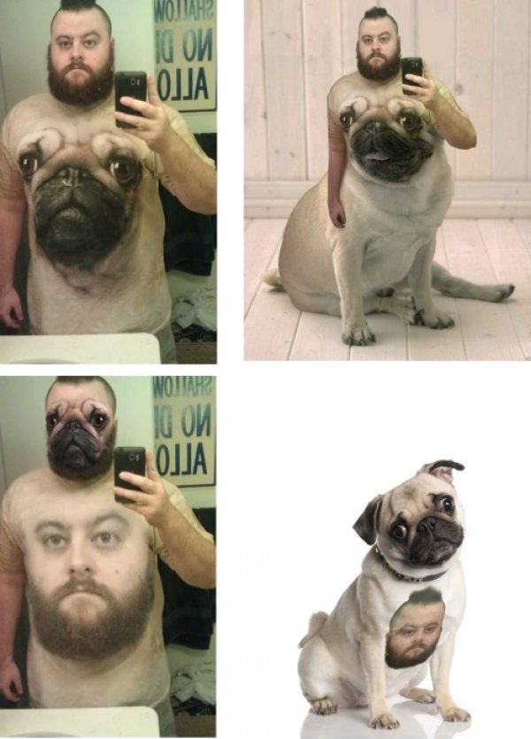 photoshop cycle