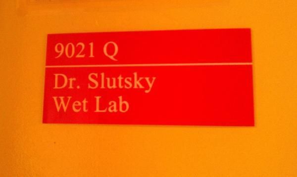Dr. Easy girlsky Wet Leb