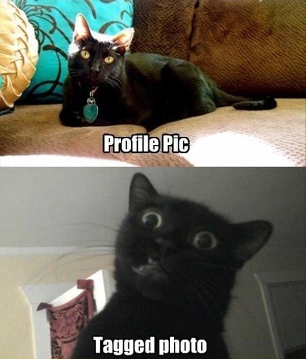 Profile Pic Tagged photo