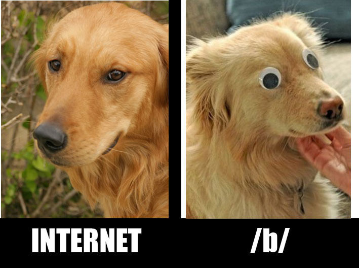 INTERNET /b/