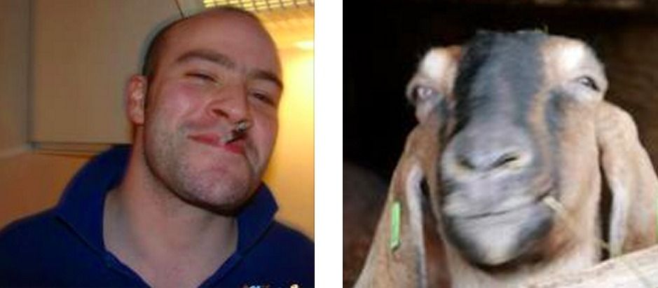 good goat greg
