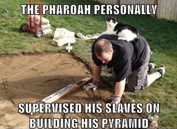 THE PHARAOH PERSONALLY SUPERVISED HIS SLAVES ON BUILDING HIS PYRAMID