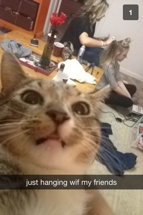 just hanging wif my friends
