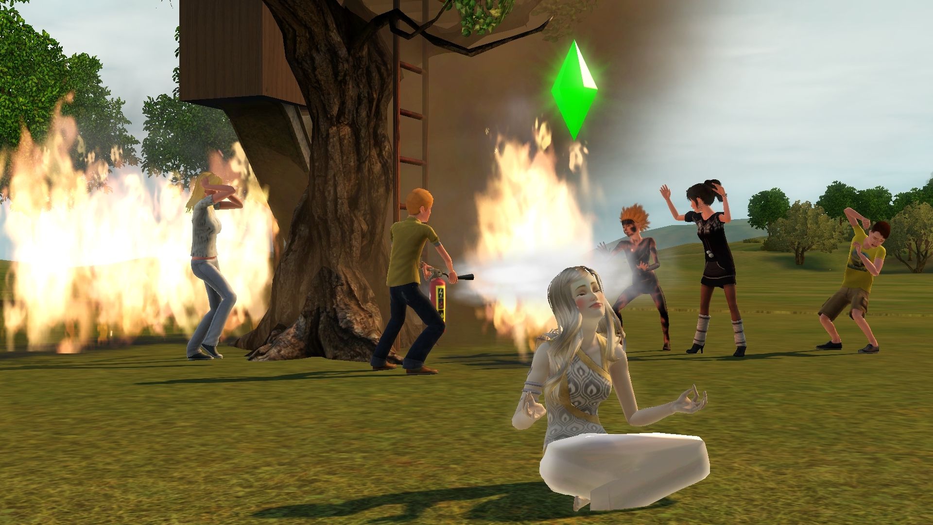 sims nonsense