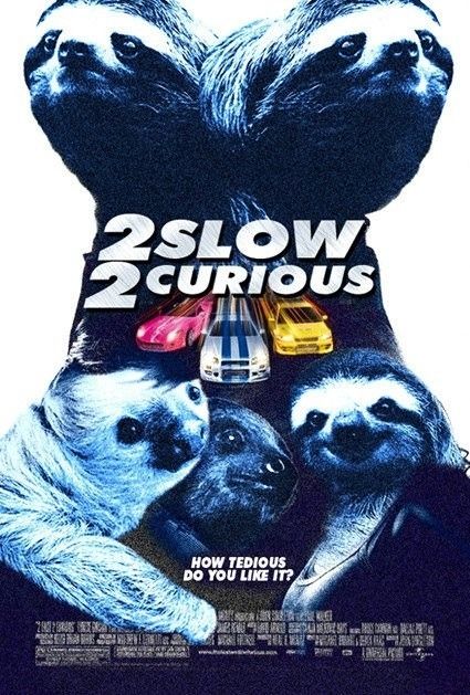 2 SLOW 2 CURIOUS