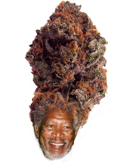 morgan freeman weed afro