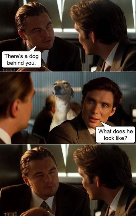 There's a dog behind you. What does he look like?