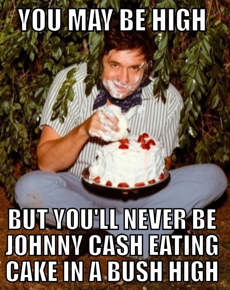 YOU MAY BE HIGH BUT YOU'LL NEVER BE JOHNNY CASH EATING CAKE IN A BUSH HIGH