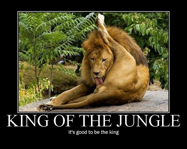 KING OF THE JUNGLE It's good to be the king