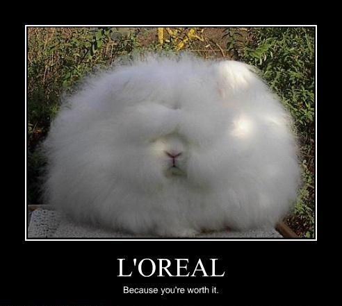 L'OREAL Because you're worth it.