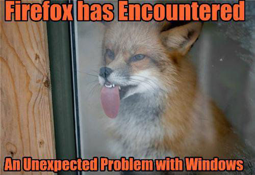 Firefox has Encountered An Unexpected Problem with Windows