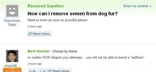 How can I remove semen from dog fur? Need to know as soon as possible please Best Anwser - Chosen by Asker no matter HOW diligent your attempts.... you will not be able to breed a "wolfman"