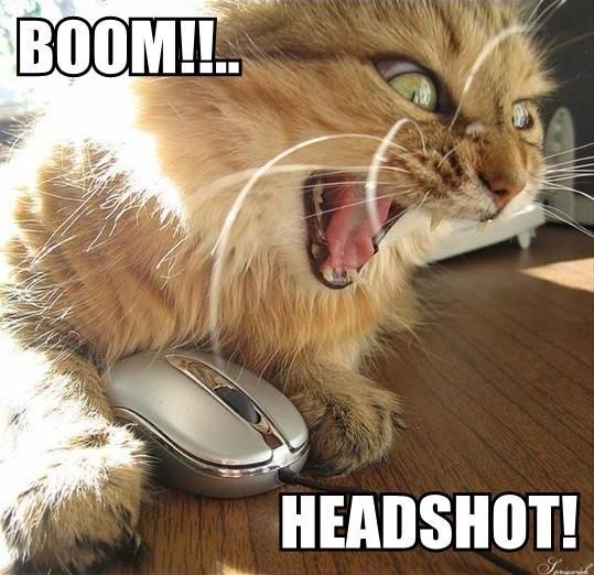 BOOM!!.. HEADSHOT!