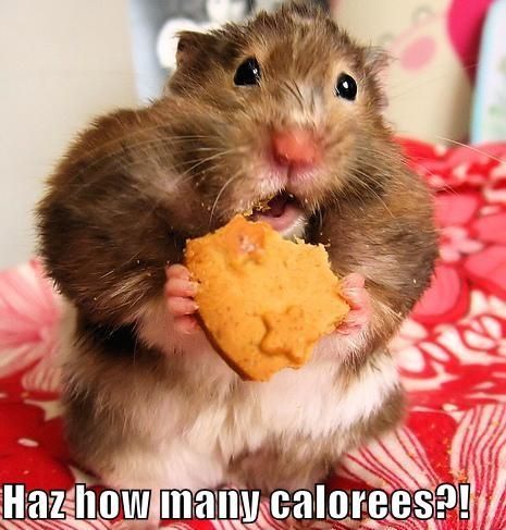 Haz how many calorees?!