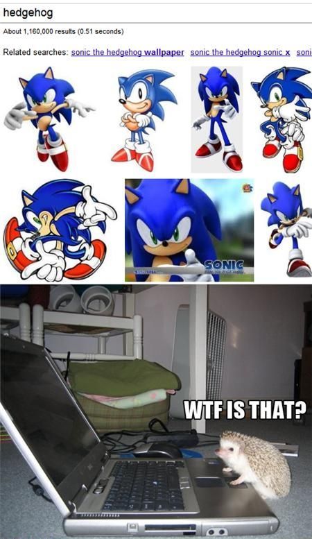 hedgehog About 1,160,000 results (0.51 seconds) Related searches: sonic the hedgehog wallpaper sonic the hedgehog sonic x WTF IS THAT?