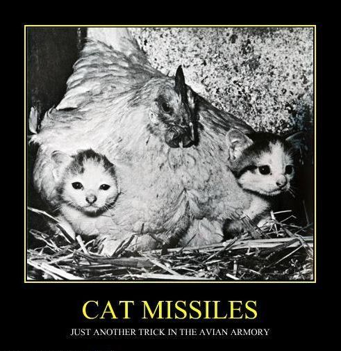 CAT MISSILES JUST ANOTHER TRICK IN THE AVIAN ARMORY