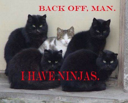 BACK OFF, MAN. I HAVE NINJAS.